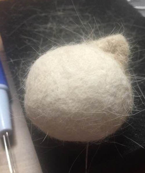 送给爱猫的亲们，亲手制作的猫毛毡教程，拿走不谢！