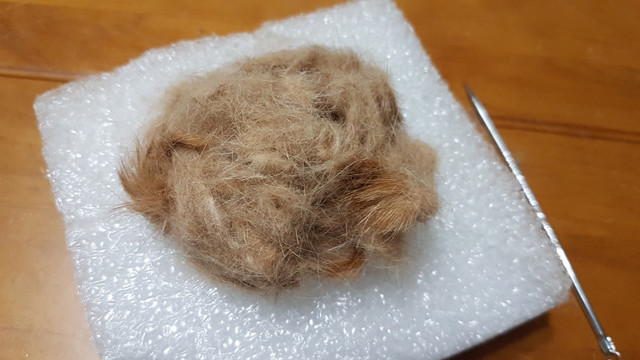 从飘落的猫毛到掌心的温暖 手作猫毛毡的治愈之旅